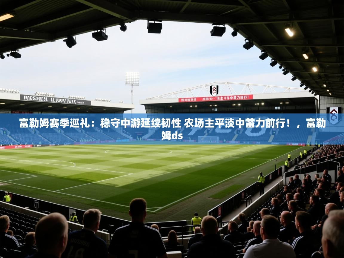 爱游戏体育-富勒姆赛季巡礼：稳守中游延续韧性 农场主平淡中蓄力前行！，富勒姆ds